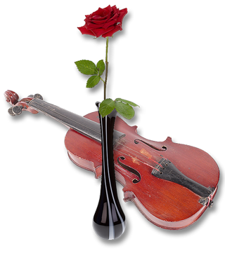 Violin
